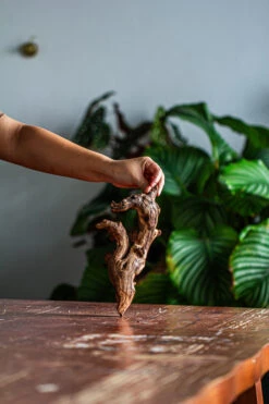 Natural Driftwood For Moss Terrarium, Miniature, Micro Landscape, Unique 12-57, Suitable For Both Live And Preserved Moss -Ncyp Garden Sale Shop IMG 2097