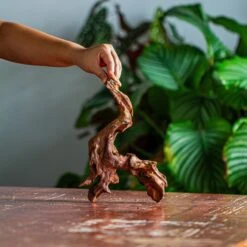 Natural Driftwood For Moss Terrarium, Miniature, Micro Landscape, Unique 12-59, Suitable For Both Live And Preserved Moss