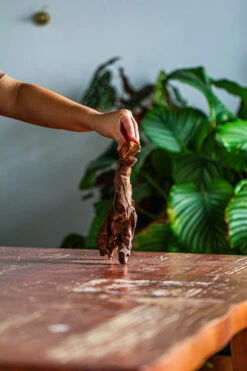 Natural Driftwood For Moss Terrarium, Miniature, Micro Landscape, Unique 12-59, Suitable For Both Live And Preserved Moss -Ncyp Garden Sale Shop IMG 2104