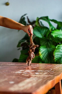 Natural Driftwood For Moss Terrarium, Miniature, Micro Landscape, Unique 12-58, Suitable For Both Live And Preserved Moss -Ncyp Garden Sale Shop IMG 2108