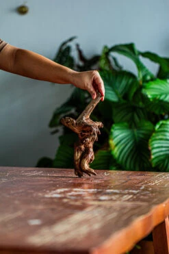 Natural Driftwood For Moss Terrarium, Miniature, Micro Landscape, Unique 12-58, Suitable For Both Live And Preserved Moss -Ncyp Garden Sale Shop IMG 2109