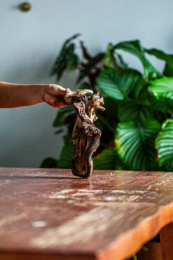 Natural Driftwood For Moss Terrarium, Miniature, Micro Landscape, Unique 12-60, Suitable For Both Live And Preserved Moss -Ncyp Garden Sale Shop IMG 2112