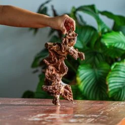 Natural Driftwood For Moss Terrarium, Miniature, Micro Landscape, Unique 12-62, Suitable For Both Live And Preserved Moss