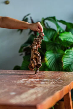 Natural Driftwood For Moss Terrarium, Miniature, Micro Landscape, Unique 12-62, Suitable For Both Live And Preserved Moss -Ncyp Garden Sale Shop IMG 2116