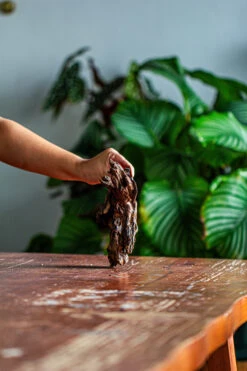 Natural Driftwood For Moss Terrarium, Miniature, Micro Landscape, Unique 12-42, Suitable For Both Live And Preserved Moss -Ncyp Garden Sale Shop IMG 2134