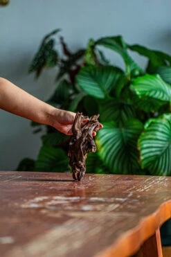 Natural Driftwood For Moss Terrarium, Miniature, Micro Landscape, Unique 12-42, Suitable For Both Live And Preserved Moss -Ncyp Garden Sale Shop IMG 2136