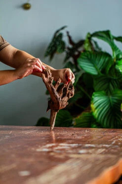 Natural Driftwood For Moss Terrarium, Miniature, Micro Landscape, Unique 12-35, Suitable For Both Live And Preserved Moss -Ncyp Garden Sale Shop IMG 2153