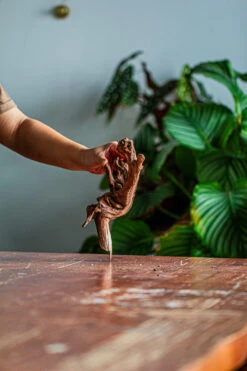 Natural Driftwood For Moss Terrarium, Miniature, Micro Landscape, Unique 12-35, Suitable For Both Live And Preserved Moss -Ncyp Garden Sale Shop IMG 2154