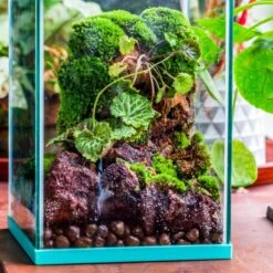 5-8cm Red Horticultural Lava Rock Volcanic Rock For Terrarium, Bonsai Landscape, 500g -Ncyp Garden Sale Shop IMG 2170 2