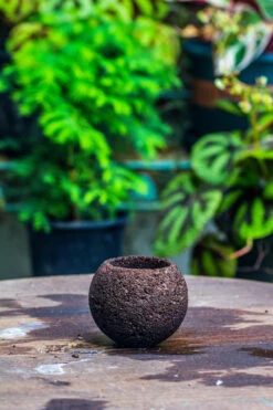 9cm / 3.5" Round Black Horticultural Lava Rock Volcanic Rock Planter For Succulents, Moss, Tropical Palants, Terrariums -Ncyp Garden Sale Shop IMG 2196