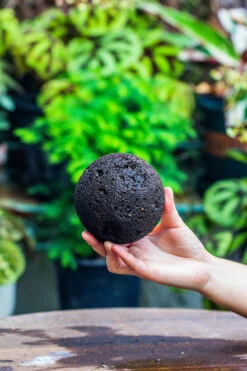 9cm / 3.5" Round Black Horticultural Lava Rock Volcanic Rock Planter For Succulents, Moss, Tropical Palants, Terrariums -Ncyp Garden Sale Shop IMG 2199