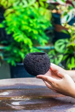 DIY Set 10cm / 3.7" Round Horticultural Lava Rock Volcanic Rock Planterwith Moss Building Kit -Ncyp Garden Sale Shop IMG 2213 244a5452 9b90 4c46 b9b4 e0e50d55d4e4