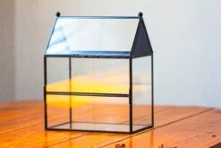 NCYP Simplified House Shape Glass Geometric Terrarium, With Side Door, With Mesh Vent Holes For Small Insects Pet -Ncyp Garden Sale Shop IMG 2213 c0be37a5 3e65 4dca ace3 42a0bc30001c