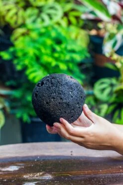 3 Unit 12cm / 4.7" Round Red Horticultural Lava Rock Volcanic Rock Planter For Succulents, Moss, Tropical Palants, Terrariums -Ncyp Garden Sale Shop IMG 2227