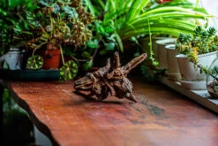 Natural Driftwood For Moss Terrarium, Miniature, Micro Landscape, Unique 12-5, Suitable For Both Live And Preserved Moss -Ncyp Garden Sale Shop IMG 2312