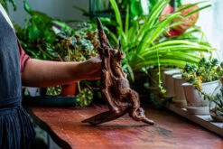 Natural Driftwood For Moss Terrarium, Miniature, Micro Landscape, Unique 12-27, Suitable For Both Live And Preserved Moss -Ncyp Garden Sale Shop IMG 2315