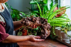 Natural Driftwood For Moss Terrarium, Miniature, Micro Landscape, Unique 12-17, Suitable For Both Live And Preserved Moss -Ncyp Garden Sale Shop IMG 2332