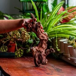 Natural Driftwood For Moss Terrarium, Miniature, Micro Landscape, Unique 12-2, Suitable For Both Live And Preserved Moss