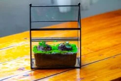 NCYP Simplified House Shape Glass Geometric Terrarium, With Side Door, With Mesh Vent Holes For Small Insects Pet -Ncyp Garden Sale Shop IMG 2503