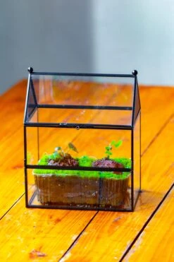 NCYP Simplified House Shape Glass Geometric Terrarium, With Side Door, With Mesh Vent Holes For Small Insects Pet -Ncyp Garden Sale Shop IMG 2504