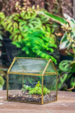 Handmade Black Gold Glass Box Geometric Terrarium With Lid For Planter Container Storage Case Gift -Ncyp Garden Sale Shop IMG 2577