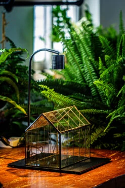 Handmade Vintage Greenhouse Inspired Tin Terrarium With LED Grow Light Set, Closed Glass Planter Set -Ncyp Garden Sale Shop IMG 3020