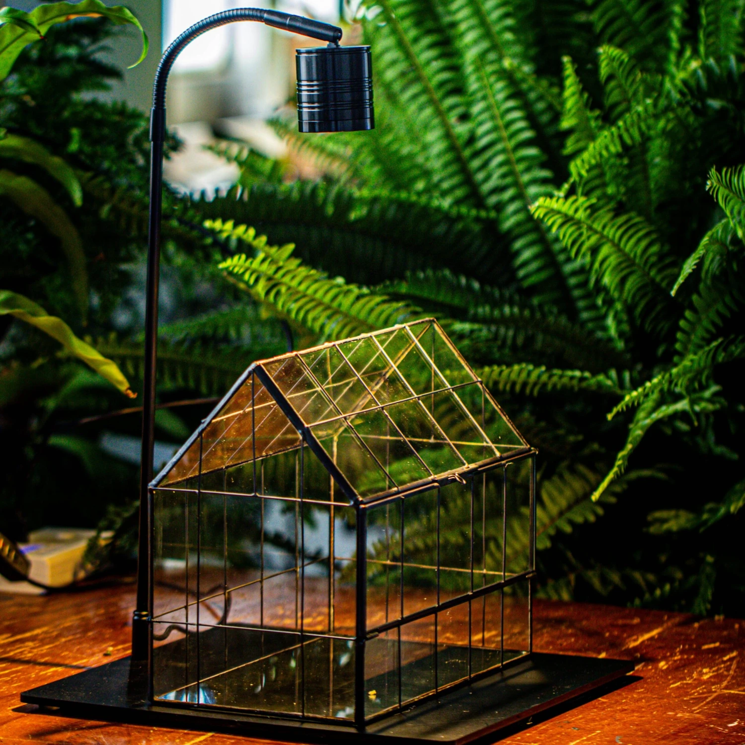 Handmade Glass Terrarium With LED Grow Light Set, Side Door Closed Geometric GreenHouse With Base And Light Set 1 Handmade Glass Terrarium With LED Grow Light Set, Side Door Closed Geometric GreenHouse With Base And Light Set