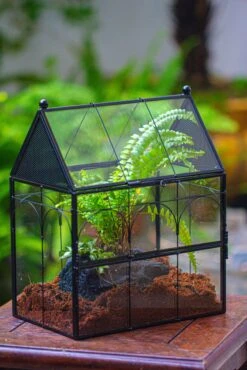 NCYP Vintage House Shape Glass Geometric Terrarium, With Side Door, With Mesh / Vent Holes For Small Insects Pet Building Set 23 NCYP Vintage House Shape Glass Geometric Terrarium, With Side Door, With Mesh / Vent Holes For Small Insects Pet Building Set -Ncyp Garden Sale Shop IMG 3357