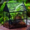 NCYP Vintage House Shape Glass Geometric Terrarium, With Side Door, With Mesh / Vent Holes For Small Insects Pet Building Set
