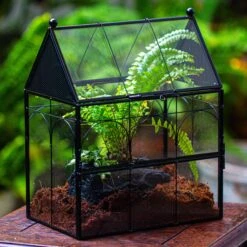 NCYP Vintage House Shape Glass Geometric Terrarium, With Side Door, With Mesh / Vent Holes For Small Insects Pet Building Set