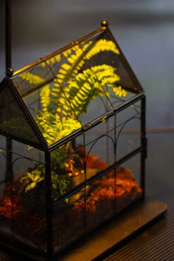 NCYP Vintage House Shape Glass Geometric Terrarium, With Side Door, With Mesh / Vent Holes For Small Insects Pet Building Set 38 NCYP Vintage House Shape Glass Geometric Terrarium, With Side Door, With Mesh / Vent Holes For Small Insects Pet Building Set -Ncyp Garden Sale Shop IMG 3370