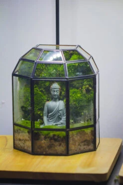 Half Dome Geometric Glass Terrarium, Close, Succulents Planter Pot Miniature Landscape Bonsai Container -Ncyp Garden Sale Shop IMG 3372