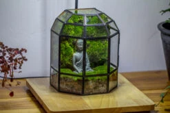 Half Dome Geometric Glass Terrarium, Close, Succulents Planter Pot Miniature Landscape Bonsai Container -Ncyp Garden Sale Shop IMG 3374