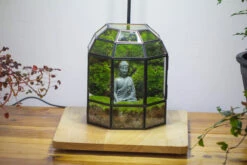 Half Dome Geometric Glass Terrarium, Close, Succulents Planter Pot Miniature Landscape Bonsai Container -Ncyp Garden Sale Shop IMG 3375