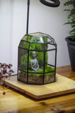 Half Dome Geometric Glass Terrarium, Close, Succulents Planter Pot Miniature Landscape Bonsai Container -Ncyp Garden Sale Shop IMG 3377 2