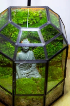 Half Dome Geometric Glass Terrarium, Close, Succulents Planter Pot Miniature Landscape Bonsai Container -Ncyp Garden Sale Shop IMG 3380 3