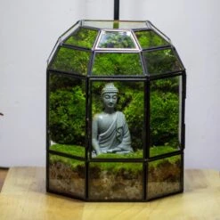 Half Dome Geometric Glass Terrarium, Close, Succulents Planter Pot Miniature Landscape Bonsai Container -Ncyp Garden Sale Shop IMG 3381 2