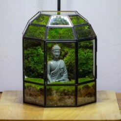 Half Dome Geometric Glass Terrarium, Close, Succulents Planter Pot Miniature Landscape Bonsai Container -Ncyp Garden Sale Shop IMG 3382