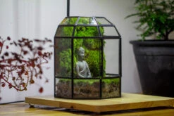 Half Dome Geometric Glass Terrarium, Close, Succulents Planter Pot Miniature Landscape Bonsai Container -Ncyp Garden Sale Shop IMG 3383