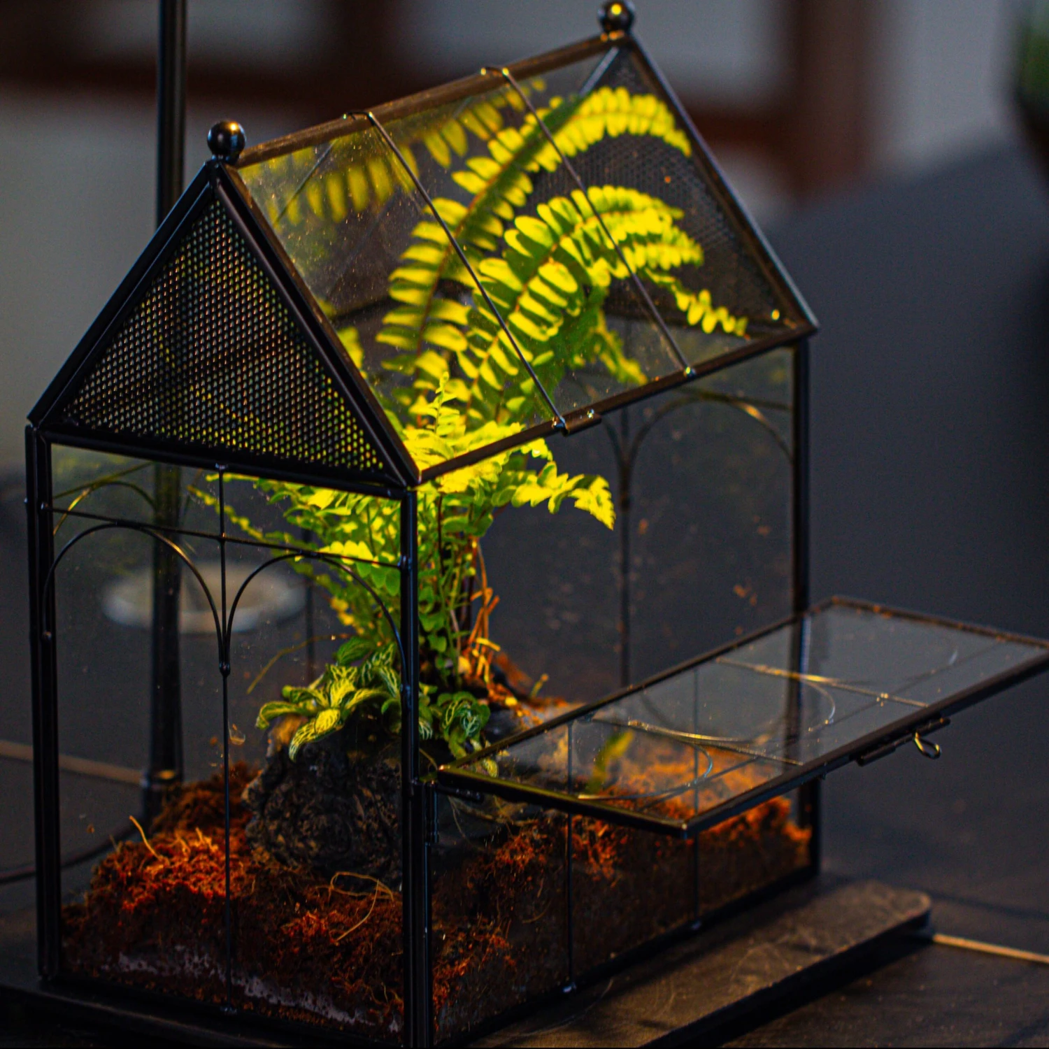 NCYP Vintage House Shape Glass Geometric Terrarium, With Side Door, With Mesh / Vent Holes For Small Insects Pet Building Set 2 NCYP Vintage House Shape Glass Geometric Terrarium, With Side Door, With Mesh / Vent Holes For Small Insects Pet Building Set - Image 2