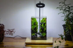 Close Geometric Glass Tin Terrarium , Watertight, 8x10" Container For Moss Wall, Fern, Landscape Waterpond, No Plants -Ncyp Garden Sale Shop IMG 3400