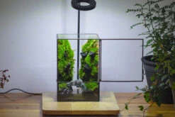 Close Geometric Glass Tin Terrarium , Watertight, 8x10" Container For Moss Wall, Fern, Landscape Waterpond, No Plants -Ncyp Garden Sale Shop IMG 3403