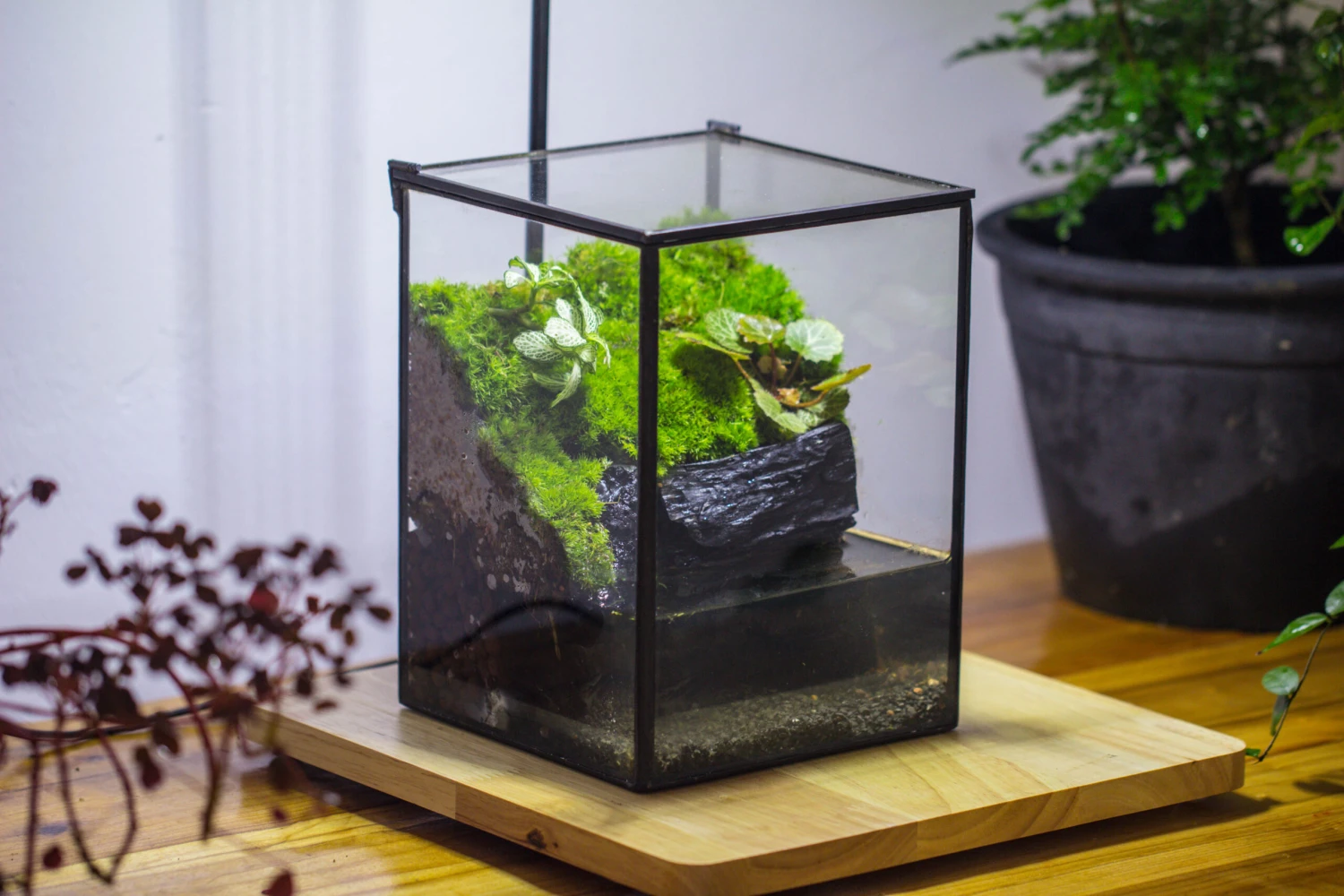 NCYP Watertight Close Geometric Glass Tin Terrarium, For Small Waterpond, Moss Landscape, Live Miniature, Water Pond, Miniature 4 NCYP Watertight Close Geometric Glass Tin Terrarium, For Small Waterpond, Moss Landscape, Live Miniature, Water Pond, Miniature - Image 4