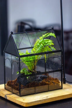 NCYP Vintage House Shape Glass Geometric Terrarium, With Side Door, With Mesh / Vent Holes For Small Insects Pet Building Set 31 NCYP Vintage House Shape Glass Geometric Terrarium, With Side Door, With Mesh / Vent Holes For Small Insects Pet Building Set -Ncyp Garden Sale Shop IMG 3438 1