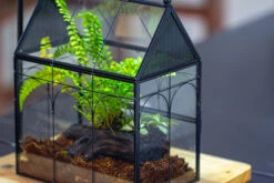 NCYP Vintage House Shape Glass Geometric Terrarium, With Side Door, With Mesh / Vent Holes For Small Insects Pet Building Set 32 NCYP Vintage House Shape Glass Geometric Terrarium, With Side Door, With Mesh / Vent Holes For Small Insects Pet Building Set -Ncyp Garden Sale Shop IMG 3440