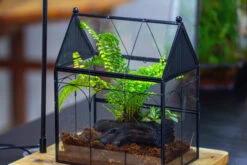 NCYP Vintage House Shape Glass Geometric Terrarium, With Side Door, With Mesh / Vent Holes For Small Insects Pet Building Set 30 NCYP Vintage House Shape Glass Geometric Terrarium, With Side Door, With Mesh / Vent Holes For Small Insects Pet Building Set -Ncyp Garden Sale Shop IMG 3441 1