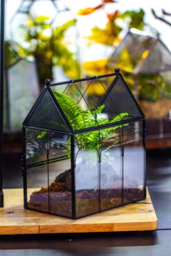 NCYP Vintage House Shape Glass Geometric Terrarium, With Side Door, With Mesh / Vent Holes For Small Insects Pet Building Set 28 NCYP Vintage House Shape Glass Geometric Terrarium, With Side Door, With Mesh / Vent Holes For Small Insects Pet Building Set -Ncyp Garden Sale Shop IMG 3444 1
