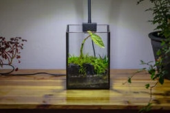 NCYP Watertight Open Geometric Glass Tin Terrarium, For Small Waterpond, Bog, Moss Landscape, Water Pond, Carnivorous Plants -Ncyp Garden Sale Shop IMG 3444