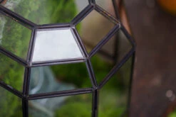 Half Dome Geometric Glass Terrarium, Close, Succulents Planter Pot Miniature Landscape Bonsai Container -Ncyp Garden Sale Shop IMG 3494