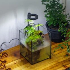 NCYP Watertight Open Geometric Glass Tin Terrarium, For Small Waterpond, Bog, Moss Landscape, Water Pond, Carnivorous Plants -Ncyp Garden Sale Shop IMG 3517